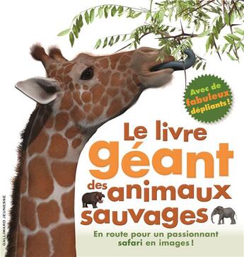 Couverture du livre « Le livre géant des animaux » de Mary Greenwood aux éditions Gallimard-jeunesse