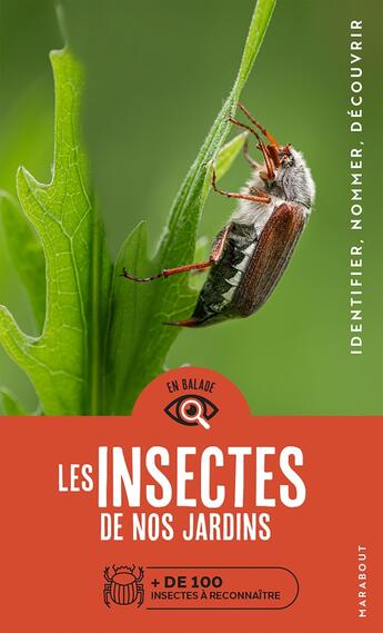 Couverture du livre « Les insectes de nos jardins » de  aux éditions Marabout