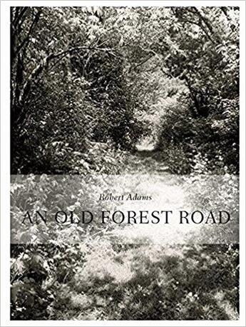 Couverture du livre « Robert adams an old forest road » de Zander Thomas aux éditions Walther Konig