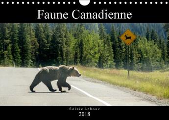 Couverture du livre « Faune canadienne calendrier mural 2018 din a4 horizontal » de Lebouc S aux éditions Calvendo