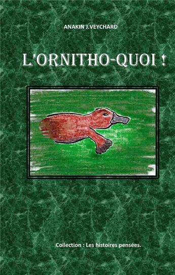 Couverture du livre « L'ornitho-quoi ! avec activités éducatives ; j'aime pas les enfants sages » de Veychard, Anakin, J. aux éditions Books On Demand