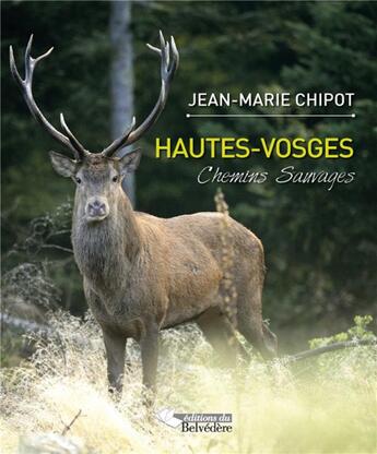 Couverture du livre « Hautes-Vosges ; chemins sauvages » de Jean-Marie Chipot aux éditions L'harmattan