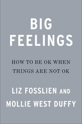 Couverture du livre « BIG FEELINGS - HOW TO BE OKAY WHEN THINGS ARE NOT OKAY » de Liz Fosslien et Mollie West Duffy aux éditions Portfolio