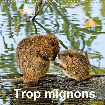 Couverture du livre « De petits et jeunes animaux tr » de Patrice Lack aux éditions Calvendo