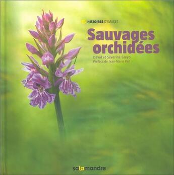 Couverture du livre « Sauvages orchidées » de David Greyo et Severine Greyo aux éditions Editions De La Salamandre