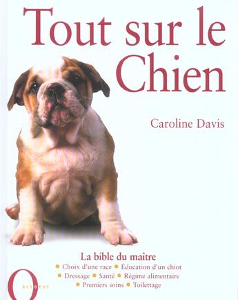 Couverture du livre « Tout Sur Le Chien » de Davis Caroline aux éditions Octopus