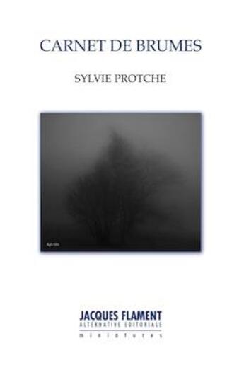 Couverture du livre « Carnet de brumes » de Sylvie Protche aux éditions Jacques Flament