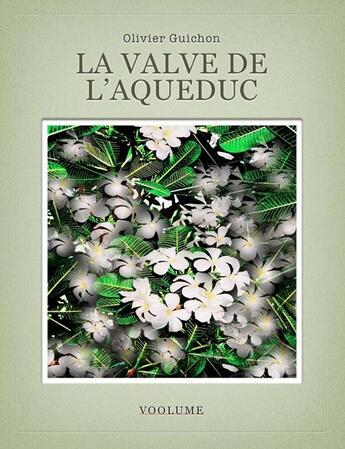 Couverture du livre « La valve de l'aqueduc » de Olivier Guichon aux éditions Ao Vivo