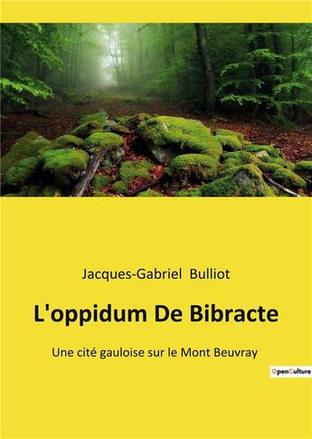 Couverture du livre « L'oppidum de bibracte - une cite gauloise sur le mont beuvray » de Bulliot J-G. aux éditions Shs Editions