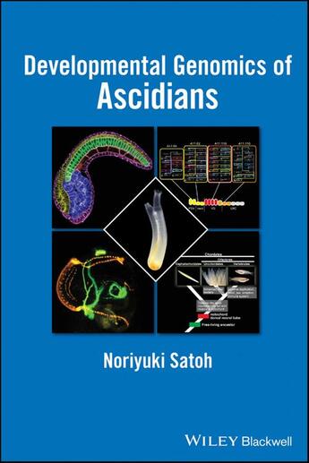 Couverture du livre « Developmental Genomics of Ascidians » de Noriyuki Satoh aux éditions Wiley-blackwell