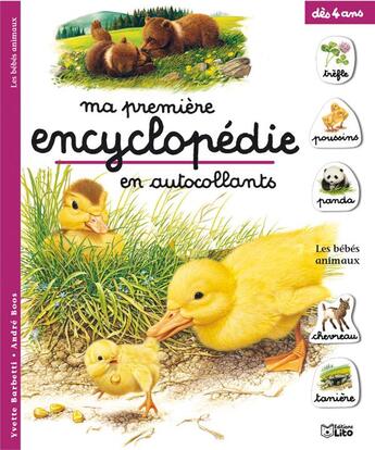 Couverture du livre « Les bébés animaux » de Boos/Barbetti aux éditions Lito