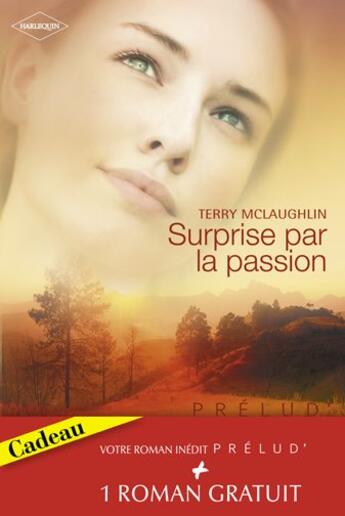 Couverture du livre « Surprise par la passion ; l'enfant de l'autre » de Terry Mclaughlin et Darlene Graham aux éditions Harlequin