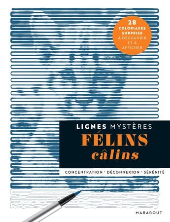 Couverture du livre « Lignes mystères : félins câlins » de Ellise aux éditions Marabout