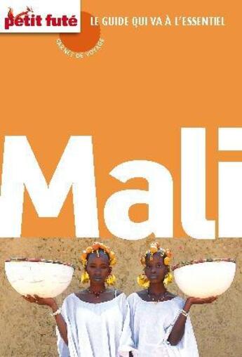 Couverture du livre « Carnet de voyage : Mali (édition 2011) » de Collectif Petit Fute aux éditions Le Petit Fute