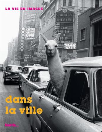 Couverture du livre « Dans la ville » de  aux éditions Palette