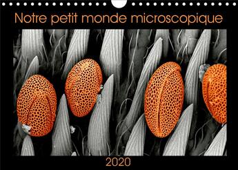 Couverture du livre « Notre petit monde microscopique (édition 2020) » de Braun Nathalie aux éditions Calvendo