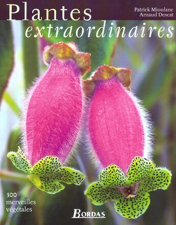 Couverture du livre « Plantes Extraordinaires ; 300 Merveilles Vegetales » de Patrick Mioulane aux éditions Bordas