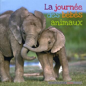 Couverture du livre « La journée des bébés animaux » de  aux éditions Actes Sud