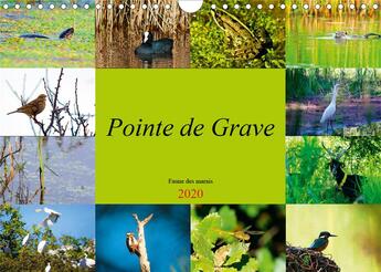 Couverture du livre « Pointe de Grave - Faune des marais (édition 2020) » de Duperou Dom S aux éditions Calvendo