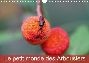 Couverture du livre « Le petit monde des Arbousiers (Calendrier mural 2020 DIN A4 horizontal) ; Les insectes des Arbousiers (Calendrier mensuel, 14 Pages ) » de Martine Julien aux éditions Calvendo