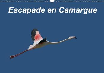 Couverture du livre « Escapade en camargue calendrier mural 2018 din a3 horizontal - observons la faune camarguaise » de Julien M aux éditions Calvendo