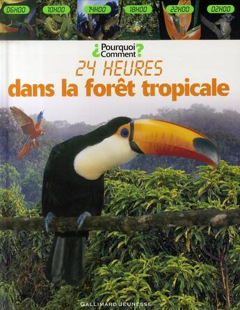 Couverture du livre « 24 heures dans la forêt tropicale » de  aux éditions Gallimard-jeunesse