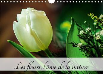 Couverture du livre « Les fleurs l ame de la nature calendrier mural 2020 din a4 horizontal - l ame de la nature est parto » de Carmen Mocanu aux éditions Calvendo