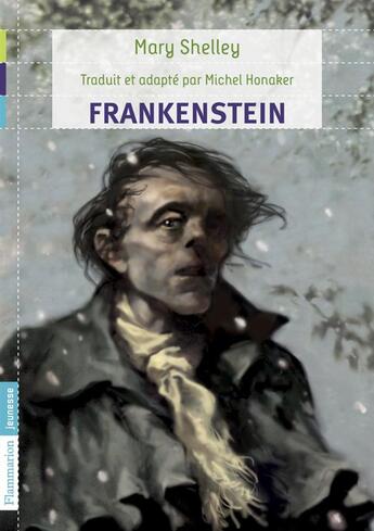 Couverture du livre « Frankenstein » de Michel Honaker et Mary Wollstonecraft Shelley aux éditions Flammarion Jeunesse