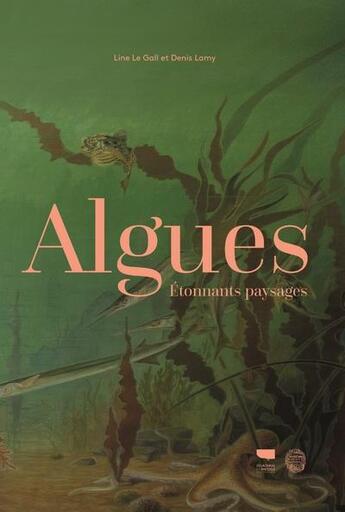 Couverture du livre « Algues ; étonnants paysages » de Line Le Gall et Denis Lamy aux éditions Delachaux & Niestle