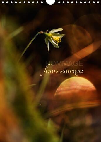 Couverture du livre « Hommage fleurs sauvages calendrier mural 2018 din a4 vertica - petit hommage aux fleurs de no » de Gans C aux éditions Calvendo