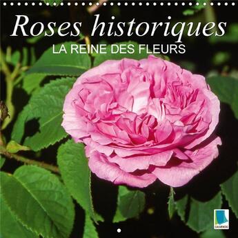 Couverture du livre « Roses historiques la reine des fleurs calendrier mural 2018 - beaute senteur et une certaine » de Calvendo aux éditions Calvendo