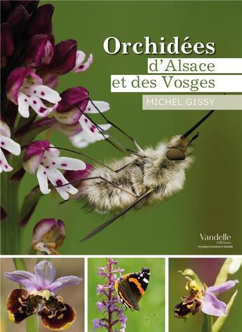 Couverture du livre « Orchidées d'Alsace et des Vosges » de Michel Gissy aux éditions Emmanuel Vandelle