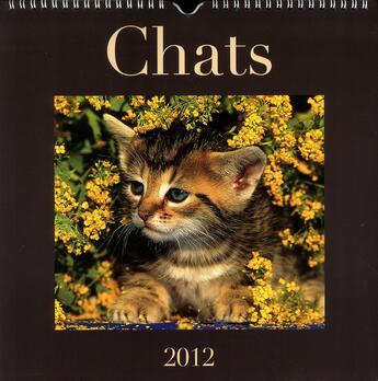 Couverture du livre « Chats 2012, le calendrier » de Boiselle Gabrielle aux éditions Place Des Victoires