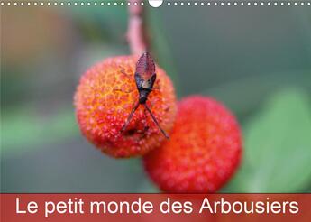 Couverture du livre « Le petit monde des Arbousiers (Calendrier mural 2020 DIN A3 horizontal) ; Les insectes des Arbousiers (Calendrier mensuel, 14 Pages ) » de Martine Julien aux éditions Calvendo