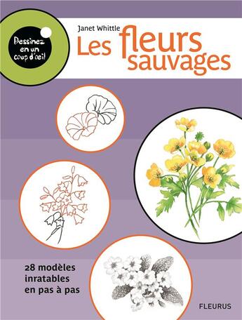 Couverture du livre « DESSINEZ EN UN COUP D'OEIL ; les fleurs sauvages ; 28 modèles inratables en pas à pas » de Janet Whittle aux éditions Fleurus