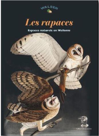 Couverture du livre « Rapaces en Wallonie et à Bruxelles » de  aux éditions Walden