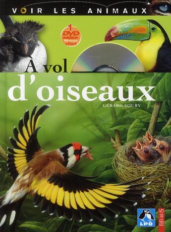 Couverture du livre « À vol d'oiseaux » de Gerard Soury aux éditions Fleurus