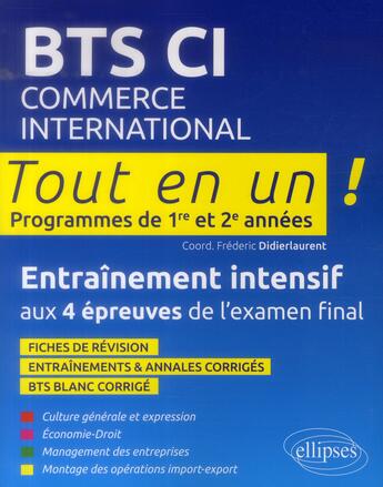 Couverture du livre « BTS CI ; 1ère et 2ème année ; tout en un ; entraînement intensif » de Frederic Didierlaurent aux éditions Ellipses