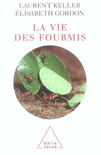 Couverture du livre « La vie des fourmis » de Keller+Gordon aux éditions Odile Jacob