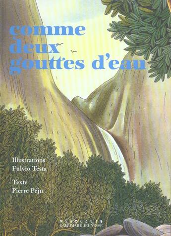 Couverture du livre « Comme deux gouttes d'eau » de Pierre Peju et Fulvio Testa aux éditions Gallimard Jeunesse Giboulees