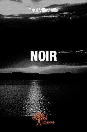 Couverture du livre « Noir » de Paul Villevieille aux éditions Edilivre