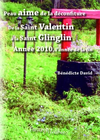 Couverture du livre « Peau aime de la déconfiture ; de la Saint Valentin à la Saint Glinglin ; année 2010, l'année de la fin » de Benedicte David aux éditions Melibee