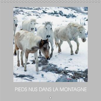 Couverture du livre « Des chevaux en liberte calendr » de Terry K.A. aux éditions Calvendo