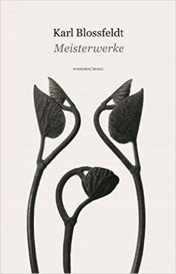 Couverture du livre « Essential images » de Karl Blossfeld aux éditions Schirmer Mosel