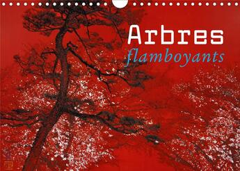 Couverture du livre « Arbres flamboyants (Calendrier mural 2020 DIN A4 horizontal) ; Peinture japonaise contemporaine (Calendrier mensuel, 14 Pages ) » de Lumi Mizutani aux éditions Calvendo