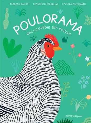 Couverture du livre « Poulorama ; encyclopédie des poules » de Camilla Pintonato et Barbara Sandri et Francesco Giubblini aux éditions Actes Sud Jeunesse