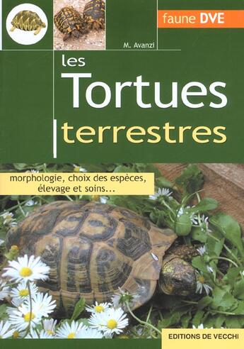 Couverture du livre « Tortues terrestres » de Avanzi aux éditions De Vecchi