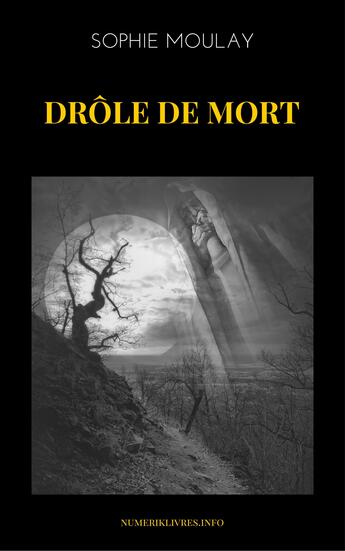 Couverture du livre « Drôle de mort » de Sophie Moulay aux éditions Numeriklivres