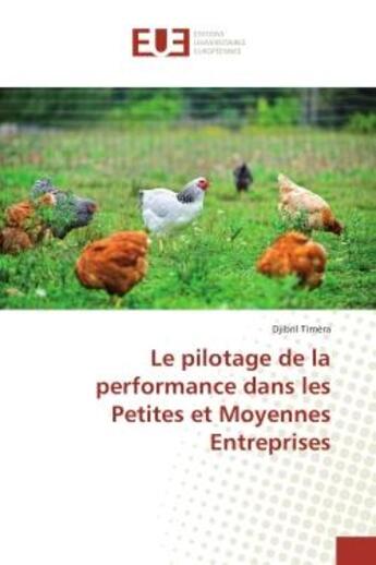 Couverture du livre « Le pilotage de la performance dans les Petites et Moyennes entreprises » de Djibril Timéra aux éditions Editions Universitaires Europeennes