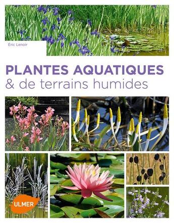 Couverture du livre « Plantes aquatiques et de terrains humides » de Lenoir Eric aux éditions Eugen Ulmer